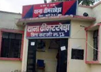 अवैध शराब बेचने वाले पर ढीमरखेडा पुलिस की ताबतोड कार्यवाही*