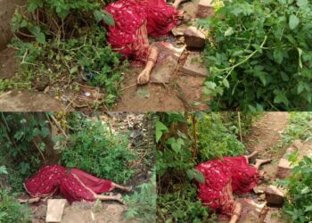 जमीनी विवाद को लेकर देवर ने भाभी को उतारा मौत के घाट, गर्दम में कुल्हाड़ी से वार कर की निर्मम हत्या देखे VIDEO पुलिस ने क्या कहा