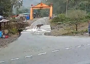 देखे VIDEO युवक कैसे बाध का निवाला बनने से बचा