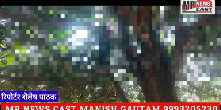 कटनी जिले के रीठी में माता-पिता पीछे दौड़ लगाते रहे और युवक पेड़ पर फांसी के फंदे में झूल गया।