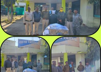 *मंडला पुलिस ने तेन्दुए की खाल के तस्करों के विरूद्ध कार्यवाही, बिछिया पुलिस के दो आरोपियों से तेन्दुए खाल जप्त कर किया गिरफ्तार*
