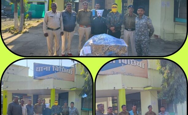 *मंडला पुलिस ने तेन्दुए की खाल के तस्करों के विरूद्ध कार्यवाही, बिछिया पुलिस के दो आरोपियों से तेन्दुए खाल जप्त कर किया गिरफ्तार*