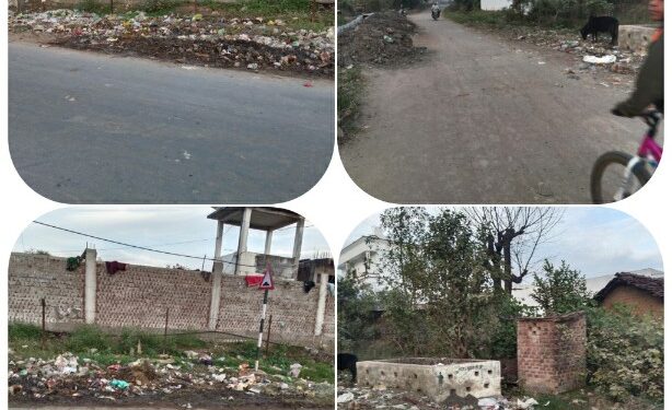ग्राम पंचायत सोड़लपुर में जगह-जगह लगे हैं कचरे के ढेर स्वच्छता की खुल रही पोल