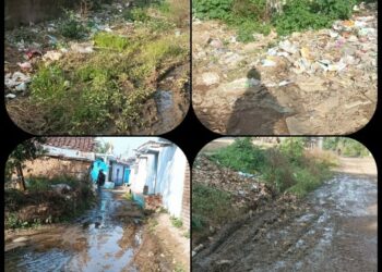 हर गली में गंदगी का अंबार,जगह जगह लगे कचरे के ढ़ेर  ग्राम पंचायत घुघरी का मामला, शिकायत के बाद भी ध्यान नहीं दे रहे जिम्मेदार, गांव में संक्रमण का बढ़ रहा खतरा