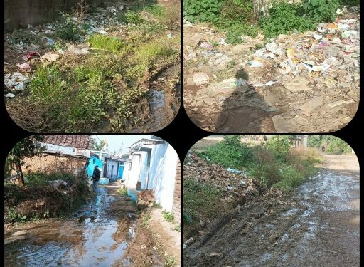 हर गली में गंदगी का अंबार,जगह जगह लगे कचरे के ढ़ेर  ग्राम पंचायत घुघरी का मामला, शिकायत के बाद भी ध्यान नहीं दे रहे जिम्मेदार, गांव में संक्रमण का बढ़ रहा खतरा