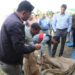 देखिऐ इन मिलर्स के बारदाने मिले खराब किन किन अधाकारियों ने किया सत्यापन*