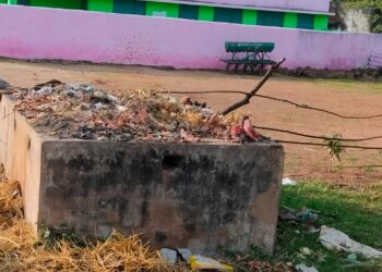 टूटे फूटे पड़े नाडेप, सड़क पर कचरे का अंबार