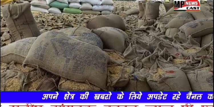 खरीदी केंद्र सिहुड़ी में नमी के नाम पर 41.200 की चल रही तुलाई,, मोसम खराब फिर भी नही हुई सिलाई,,,,देखे VIDEO