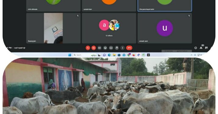 आज गौ पूजन का जिला स्तरीय कार्यक्रम घुघरा में, जिले की 24 गौशालाओं में होंगे आयोजन  जिला पंचायत के सीईओ श्री गेमावत ने वीडियो कॉन्फ्रेंसिंग के द्वारा जनपद सीईओ को दिए निर्देश