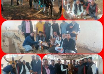 गौमाता का किया पूजन,खिलाई चना मिठाई