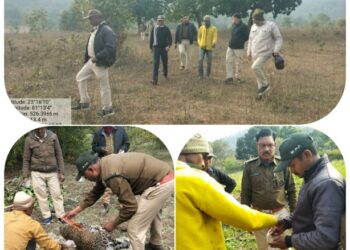 तेंदुआ की मौत के मामले में चार आरोपियों को वन विभाग ने किया गिरफ्तार,करंट से हुई थी मादा तेंदुआ की मौत।