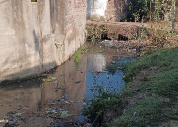 सोडलपुर ग्राम के नाले में कचरे से रुका पानी बदबू से ग्रामीण परेशान