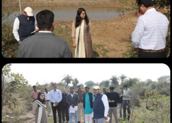 गुणवत्ताविहीन तालाब निर्माण की रिकवरी कराएं- कलेक्टर सुश्री बाफना
