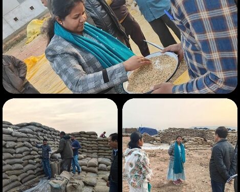 अपर कलेक्टर साधना परस्ते ने किया वेयर हाउस का निरीक्षण