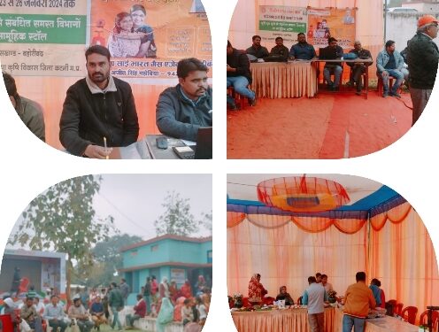 शनिवार को जिले की 7 ग्राम पंचायतों में पहुंची विकसित भारत संकल्प यात्रा विकसित भारत संकल्प यात्रा के प्रचार रथ जिले की विभिन्न ग्राम पंचायतों में किया योजनाओं का प्रचार