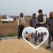 *खरीफ़ उपार्जन में अब तक किसानों को हुआ 150 करोड़ का भुगतान*  सवा दो लाख मेट्रिक टन से अधिक धान की हुई खरीदी
