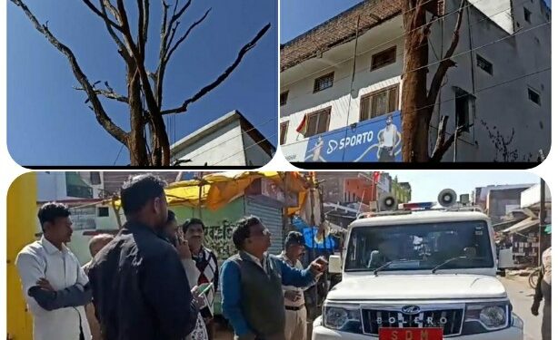 सूखे पेड़ की टूटी टहनियों से रागीर हो सकते हैं घायल,,शीघ्र की कराए नीलामी,,,