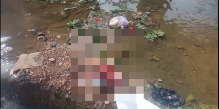 कटनी के गाटरघाट में नदी पुल के नीचे मिला नवजात का शव