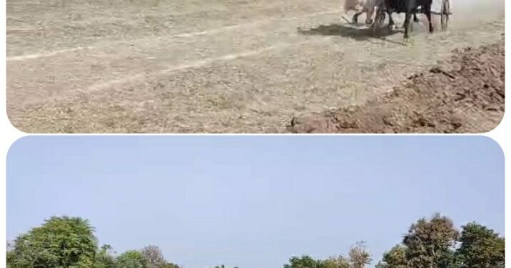 श्री बजरंग बैलगाड़ी दौड़ प्रतियोगिता तीखड में हुई संपन्न, 170 जोड़ियां ने भाग लिया… वीडियो