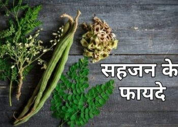 सहजन के फायदे, आनेको रोगों में उपयोगी…