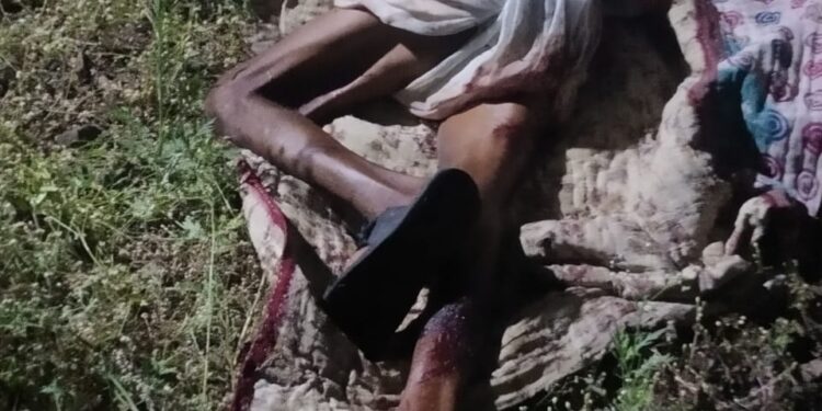 *घर से खेत गए किसान की मौत*  *जंगली जानवर द्वारा शिकार किये जाने की बात निकली कोरी अफवाह*  *सौसर पुलिस,वन,विभाग राजस्व की अचानक उड़ी नींद*  *खेत मे जंगली जानवर के लिए लगाए करंट से हुई किसान की मौत*  *मौके पर प्रसासनिक अमला मौजूद*