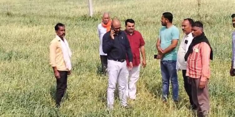 सिवनी मालवा क्षेत्र में ओले गिरने से फसलों को भारी नुकसान, किसानों के बीच पहुंचे तहसीलदार