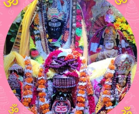 *नीलकंठेश्वर धाम में श्री राम दरबार की प्राण प्रतिष्ठा 22 फरवरी को* *महाशिवरात्रि तक रोजाना जारी हैं विविध धार्मिक आयोजन*
