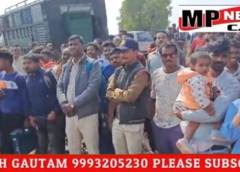 जबलपुर तार में फंसा तेंदुआ, अमझर गांव की घटना, रेस्क्यू टीम पहुंची स्थल पर, देखे VIDEO