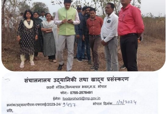 कटनी जिले के कृषकों द्वारा उत्पादित आंवले का प्रोक्योरमेंट करने शासन स्तर से हुई पहल   स्थानीय आंवला उत्पादकों को उपज का उचित मूल्य दिलाने प्रयास शुरू   डाबर इंडिया लिमिटेड के संचालक को उद्यानिकी एवं खाद्य प्रसंस्करण विभाग के संचालक ने लिखा पत्र