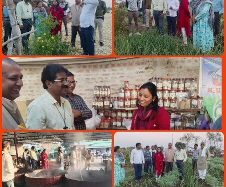 कलेक्टर श्री मति शीतला पटले द्वारा रबी फसलों का अवलोकन