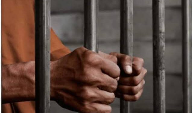 5 वर्ष की नाबालिग बच्ची के साथ बलात्कार करने वाले आरोपी को मिली आजीवन कारावास (शेष प्राकृत जीवन के लिए) की सजा और लगाया गया जुर्माना