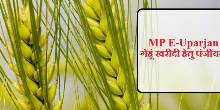 गेहूं पंजीयन का कार्य अब 6 मार्च तक