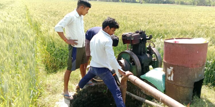 तिर्वा राजवाहा में कई दिनों से पानी ना छोड़े जाने से किसान परेशान नहर विभाग के अधिकारियों की बड़ी लापरवाही