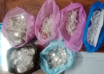 ढीमरखेड़ा पुलिस द्वारा वाहन चेकिंग के दौरान पकड़ी गई 6 किलो चांदी*