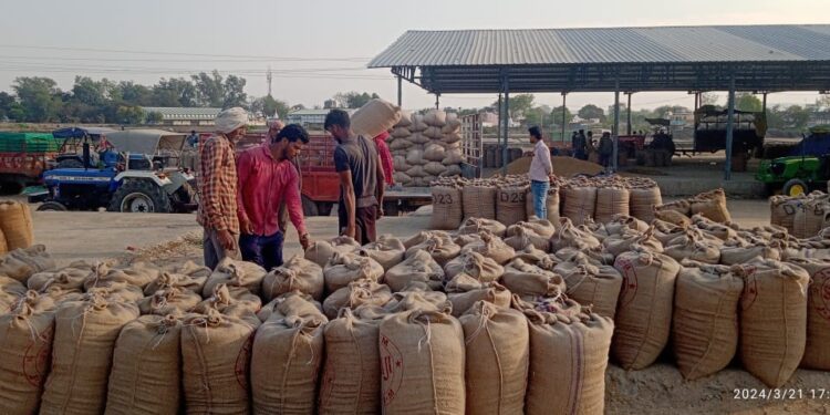 किसान की धान उपज की तुलाई में 96 किलो का वजन अंतर आने पर गरमाया मामला,किसान संगठन से लगाई गुहार,हैरान परेशान किसान ने संगठन प्रवक्ता को सुनाई आपबीती,मामला पहुंचा राष्ट्रीय अध्यक्ष तक,कृषि उपज मंडी में की लिखित शिकायत…
