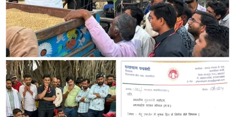 किसानों के हक के लिए अपनी ही सरकार से मांगी रियायत……विधायक घनश्याम चंद्रवंशी..!