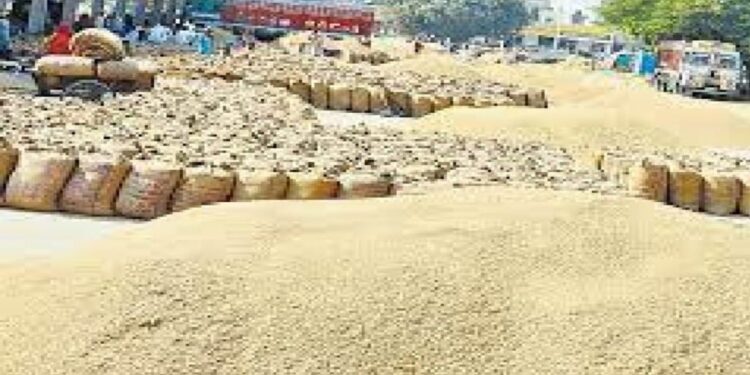 *55 हजार से ज्यादा किसानों के लिए बनाए गए 130 उपार्जन केंद्र, स्लॉट बुक करा कर ही उपार्जन केन्द्र पर आने की अपील कलेक्टर ने किया*