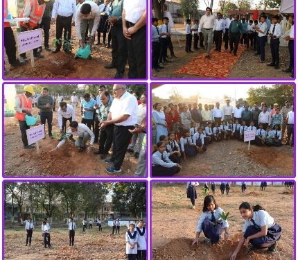 विश्व वानिकी दिवस: बडवारा में रोपे गए 1 हजार आम के पौधे  जवाहर नवोदय विद्यालय बडवारा का परिसर 1 हजार पौधों के रोपण का बना साक्षी