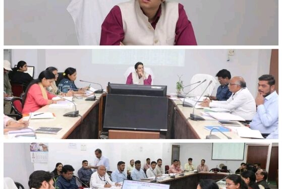 कलेक्टर श्री प्रसाद की अध्यक्षता में डी.एल.सी.सी की बैठक संपन्न  योजनाओं के कियान्वयन मे रूचि नही लेने पर केनरा बैंक एवं यूनियन बैंक को नोटिस जारी करनें के दिए निर्देश