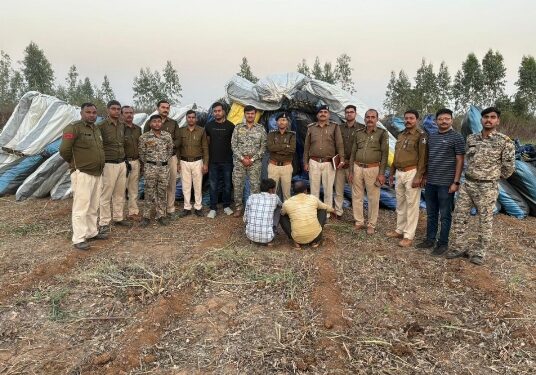 पुलिस ने 35000 स्क्वायर फीट क्षेत्रफल के खेत से करीब ढाई लाख से ज्यादा अफीम के पौधे, 51 कुंटल किये जप्त देखे VIDEO