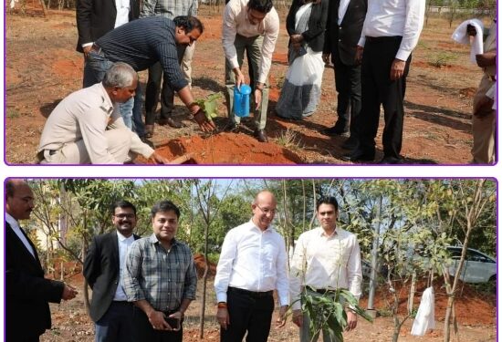 कलेक्टर अवि प्रसाद और जवाहर नवोदय विद्यालय बड़वारा के छात्रों और शैक्षणिक एवं लिपिकीय स्टाफ ने मिलकर एक हजार आम के पौधे रोपे