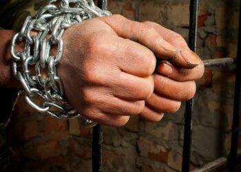 नाबालिग बालिका को भगाकर ले जाने व दुष्कर्म करने के आरोपी को 20 वर्ष के कठोर कारावास तथा अर्थदण्ड से किया गया दंडित।