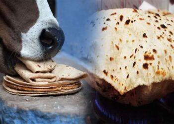 पान वाले का ऐसा कारोबार; इनकम टैक्स के बाद अब GST का पड़ गया छापा