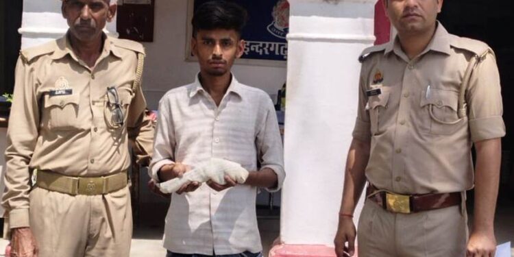*थाना इन्दरगढ़ पुलिस द्वारा 1 अभियुक्त को 1 अवैध तमंचा व 1 जिन्दा कारतूस के साथ किया गिरफ्तार*