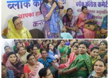 *हम कोरोना से जूझ रहे थे, भाजपा सरकार बनाने में लगी थी- प्रियानाथ*  *सौंसर व पांढुर्ना में हुई जनसभा*