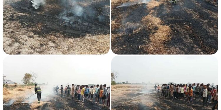 चौकीदार की बेटी ने 95.66% अंक प्राप्त कर विद्यालय व परिवार का नाम किया रोशन