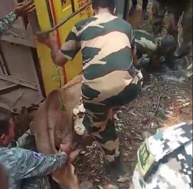 छत्तीसगढ़  चुनाव ड्यूटी के दौरान मध्यप्रदेश पुलिस के जवानों से भरी बस #बस्तर में पलटी, 10 घायल