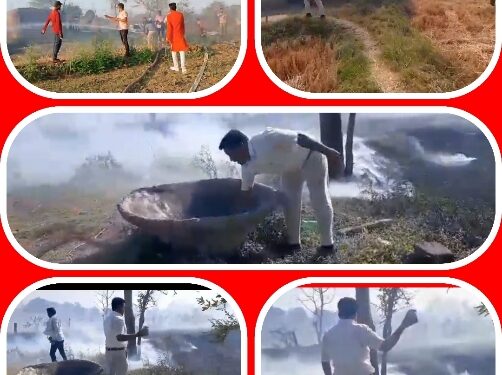 *रोहनिया के मरवा हार में लगी भीषण आग* *बड़वारा विधायक धीरेंद्र सिंह मौके पर पहुंच कर बने फायर फाइटर*