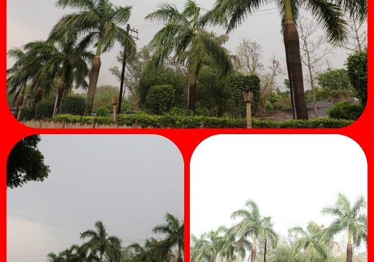 *कलेक्टर की मतदाताओं से अपील*  *फिजाओं में घुली ठंडक से खुशगवार हुए मौसम में घरों से निकलकर पहुंचे मतदान केन्द्र*  *खुद करें मतदान और दूसरों को भी करें प्रेरित*