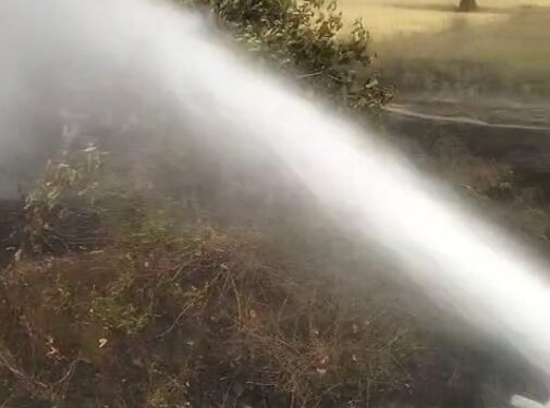 खेत में लगी थी भीषण आग, दमकल वाहन मौके पर पहुंच कर आग बुझाया,हुआ नुकसान